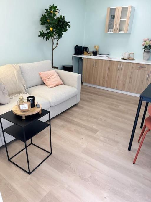 Wellness Studio Tiel Met Sauna En Jacuzzi Екстериор снимка